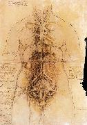 LEONARDO da Vinci The organs of the woman Sweden oil painting artist